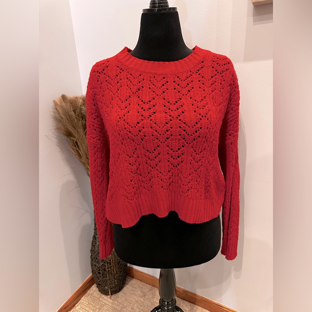 AE Cropped Pointelle Crew Neck Sweater